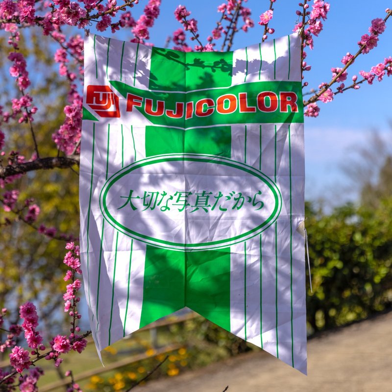 桑惠商号 昭和 日本制 富士FUJIFILM 经典LOGO广告挂旗 绝版品 - 摆饰 - 丝．绢 多色