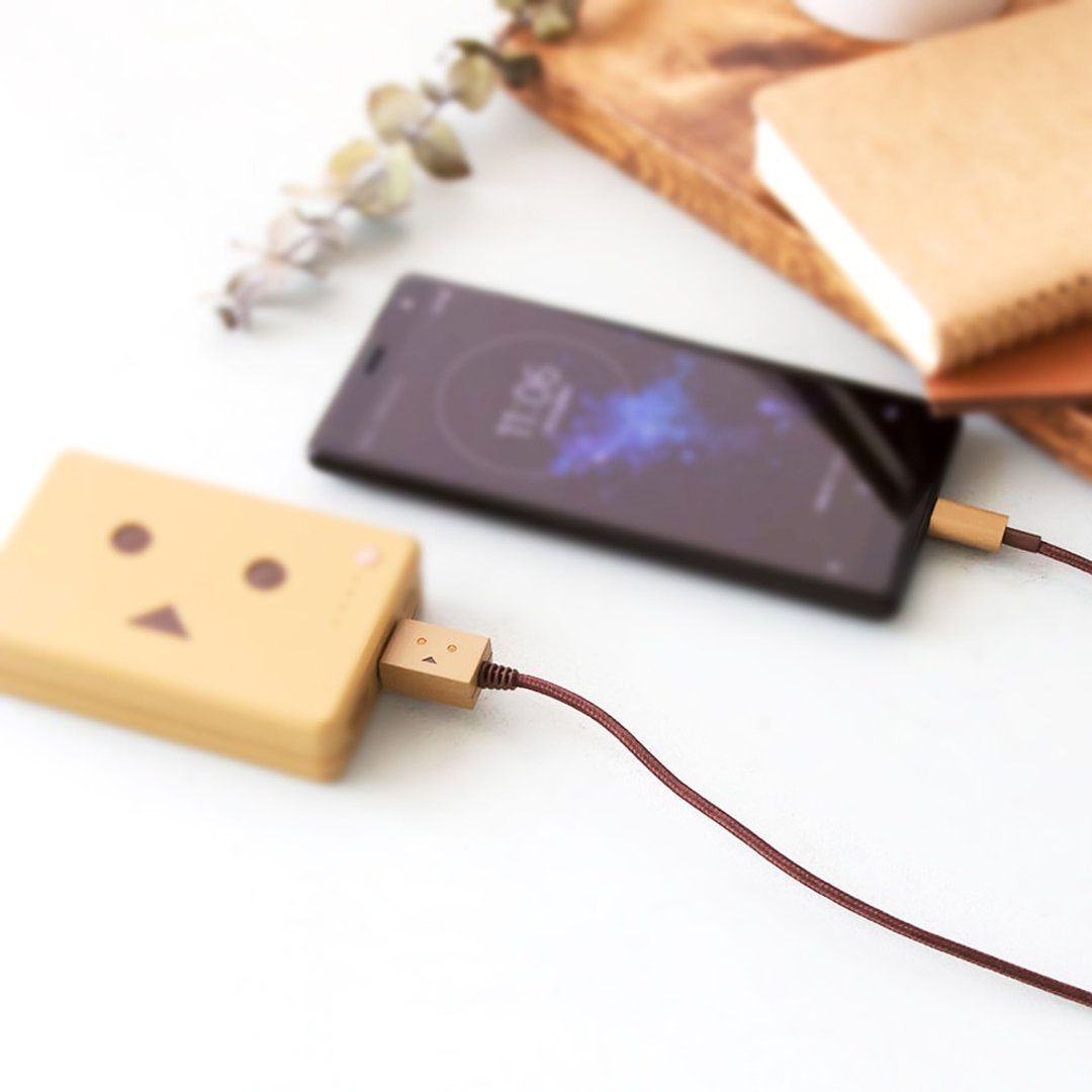 阿愣 USB Type C 传输充电线 100厘米 眼睛发亮吧  "cheero" - 充电宝/传输线 - 塑料 卡其色