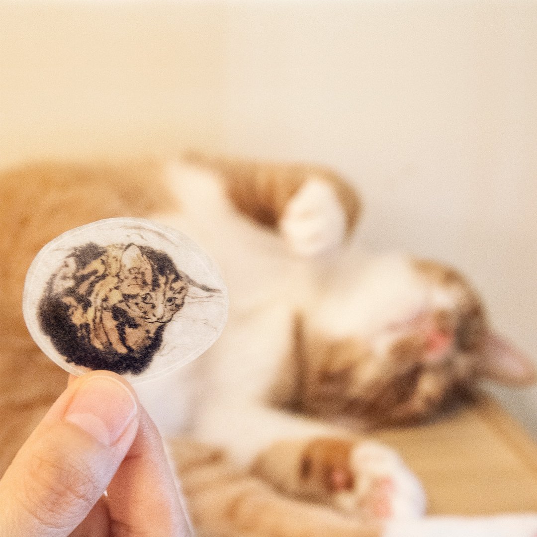 水墨猫咪和纸贴纸 - 海螺猫 - 贴纸 - 纸 橘色
