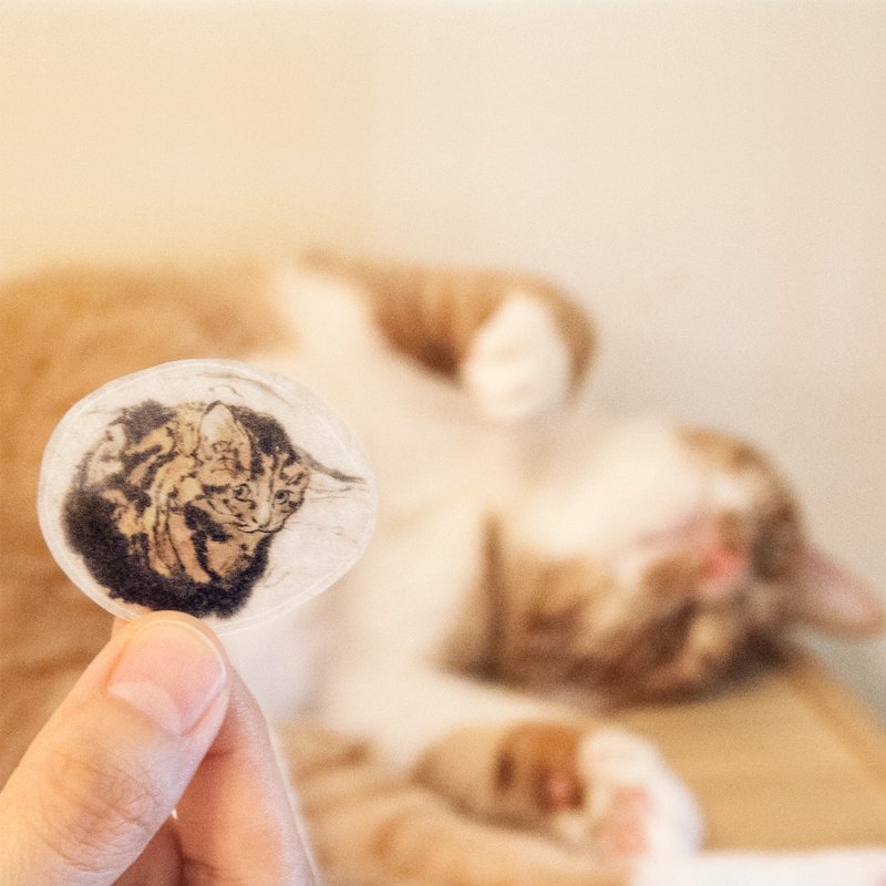 水墨猫咪和纸贴纸 - 海螺猫 - 贴纸 - 纸 橘色