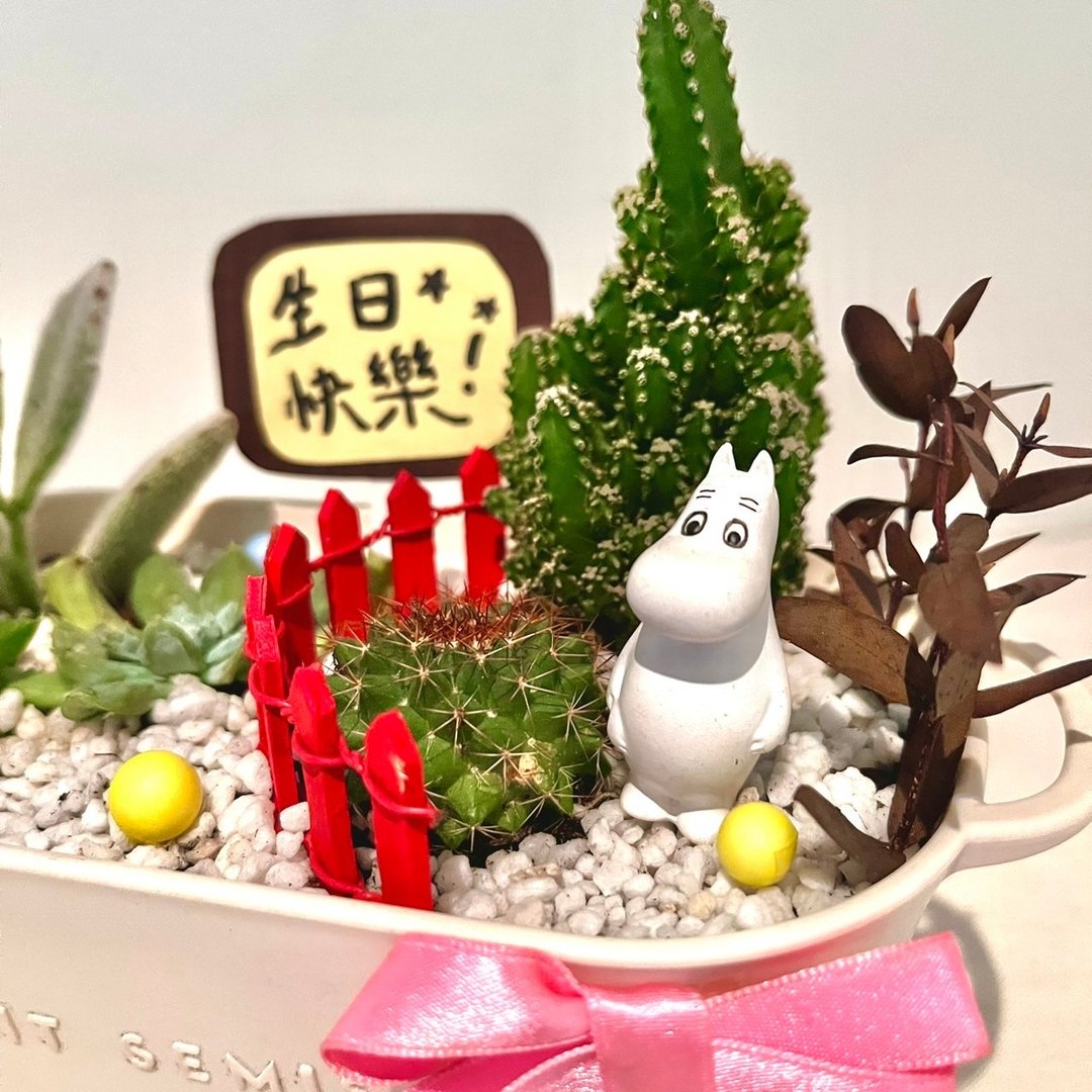 噜噜米Moomins 姆明 多肉组盆 微景观盆栽 多肉盆栽 送礼 Muumi - 植栽/盆栽 - 植物．花 绿色