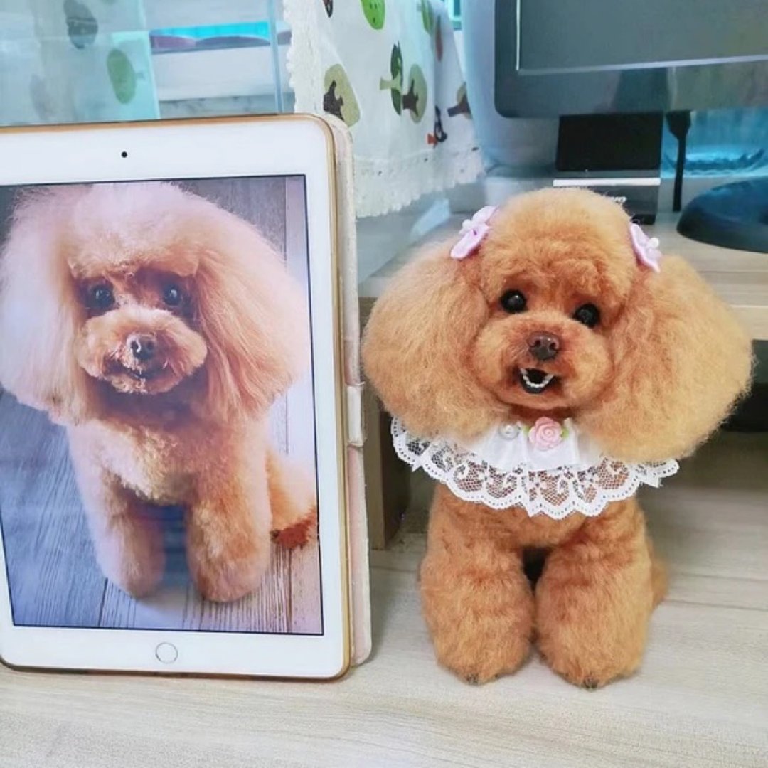 定制 逼真犬 毛孩 宠物 贵宾犬 羊毛毡 娃娃 似颜绘 纪念 狗狗 s9 - 玩具 - 羊毛 多色