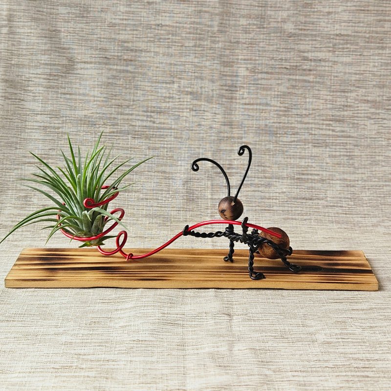 【技艺一流】含空凤 - 植栽/盆栽 - 木头 