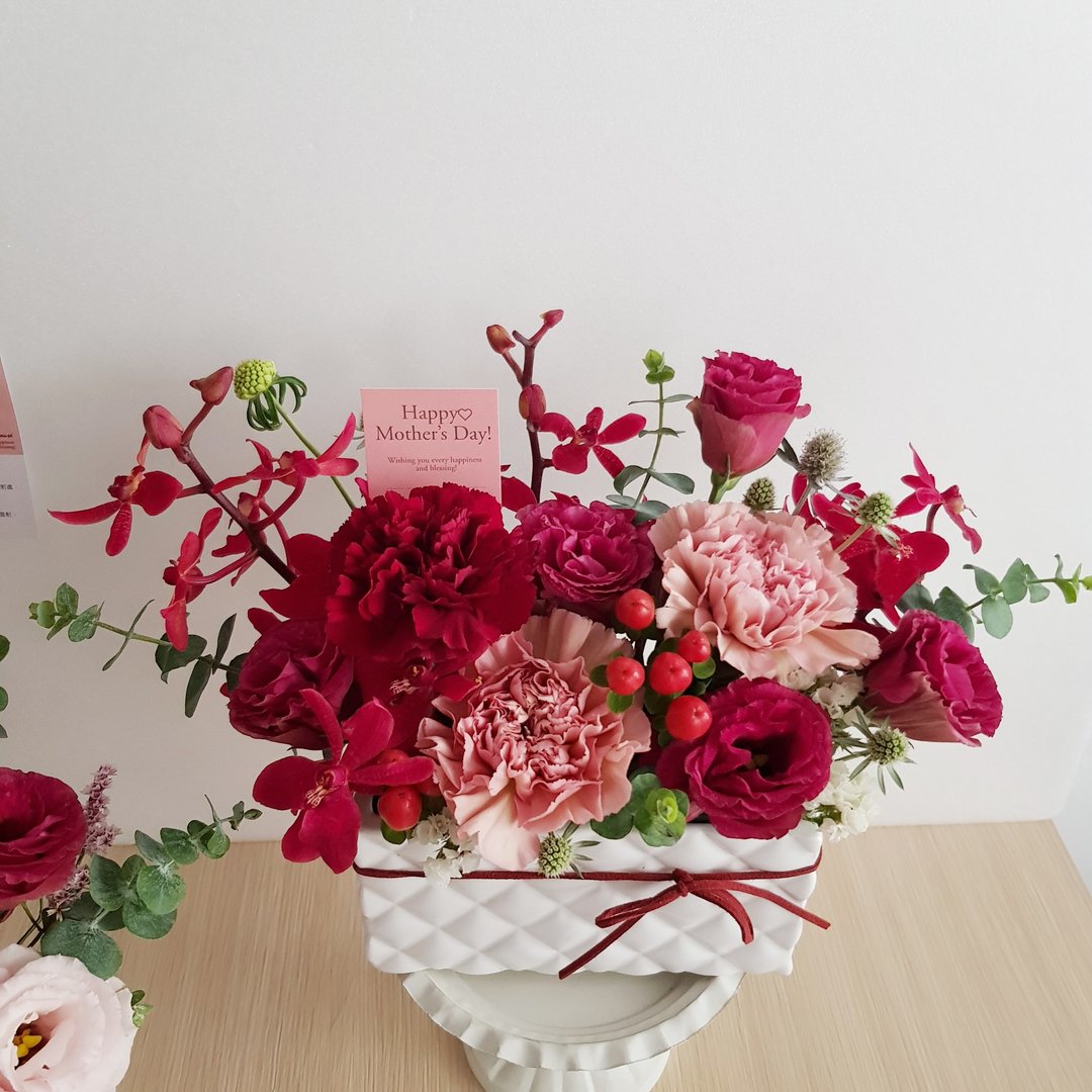 鲜花。Love 妈咪 母亲节 阳台上的小花园 (莓粉) 。康乃馨盆花 - 其他 - 植物．花 红色