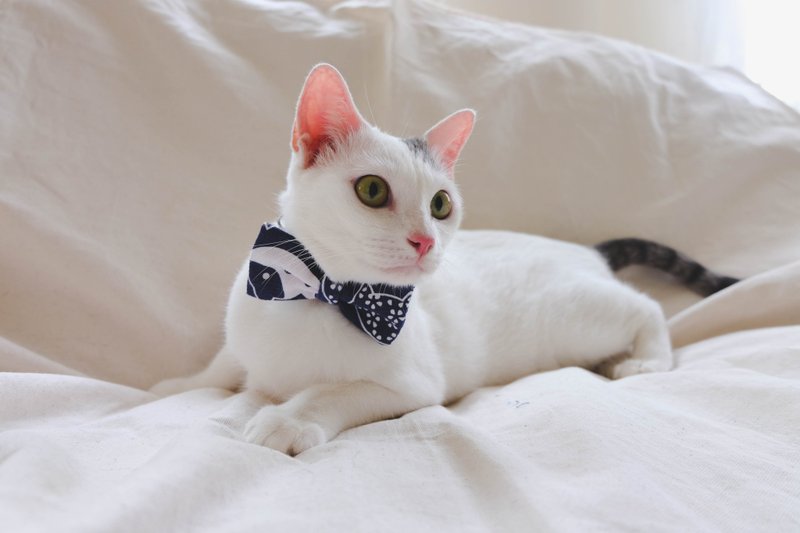 A-NI Collar for cats and dogs, spring rolls (bow) - 项圈/牵绳 - 其他材质 蓝色
