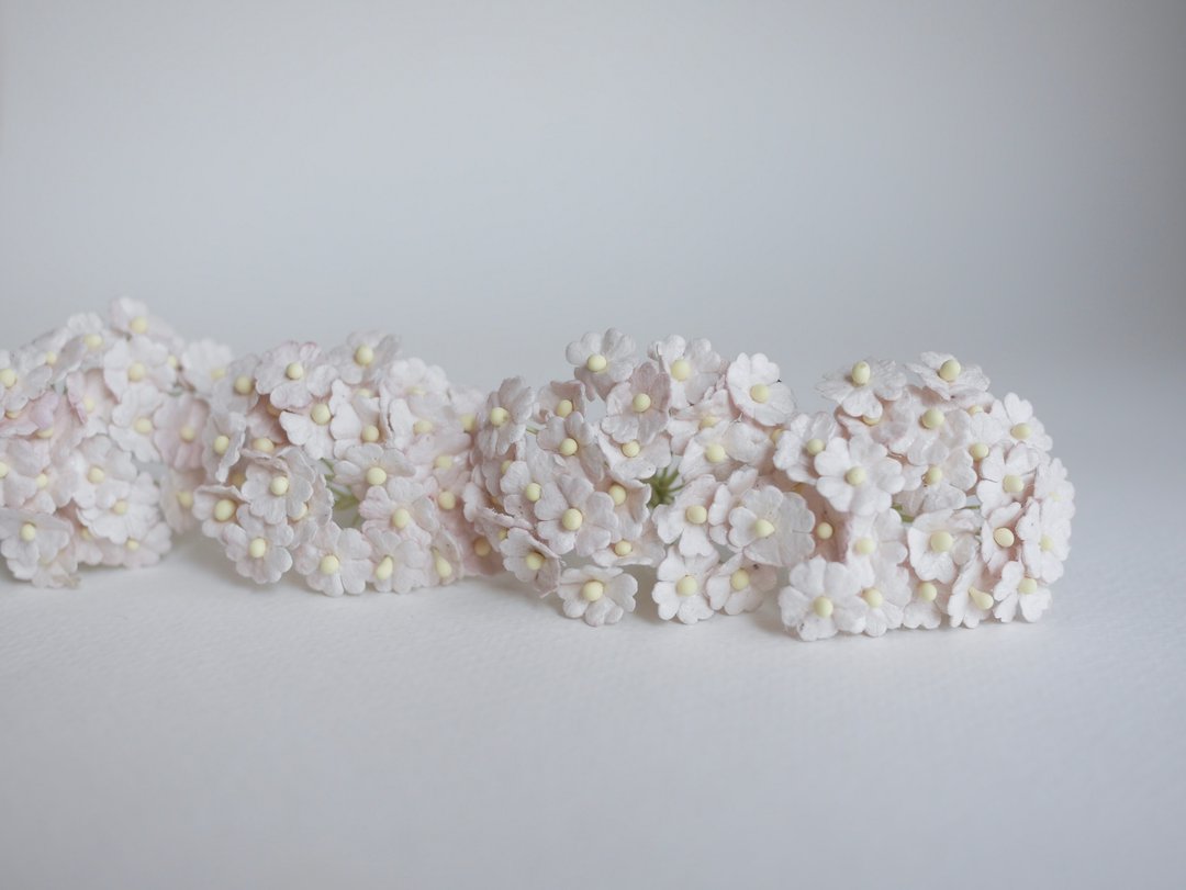 纸花，用品，100 件。加拿大海葵，尺寸 1.0 厘米，蕾丝色 - 其他 - 纸 粉红色