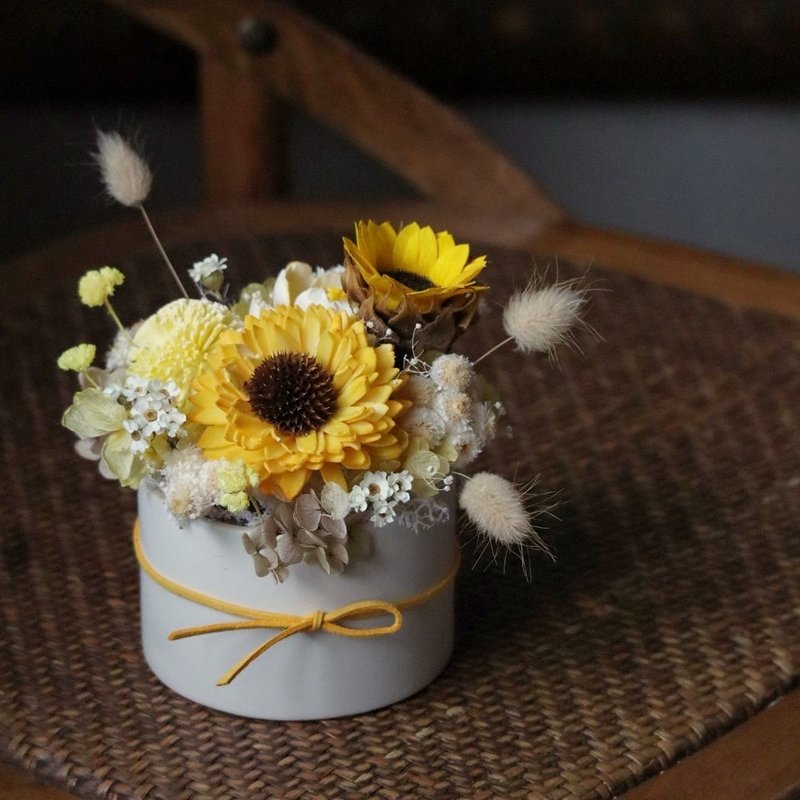 伴伴 | 永生向日葵盆花 毕业季 毕业盆花 永生盆花 干燥盆花 - 干燥花/捧花 - 植物．花 