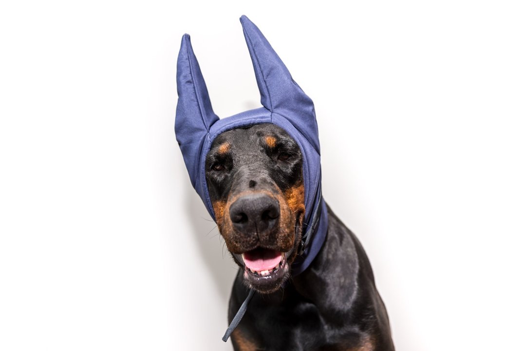 Navy Doberman Winter Hat Doberman Warmer Pitbull Hat Doberman Winter Snood Dog - 衣/帽 - 尼龙 蓝色