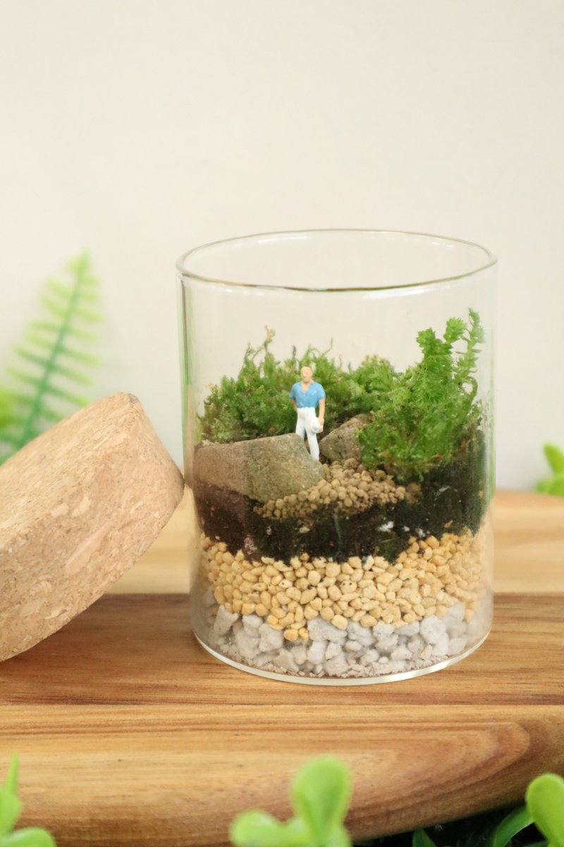 【微景观】远足 - 苔藓组盆/冒险/交换礼物/生日礼物/毕业礼物 - 植栽/盆栽 - 玻璃 绿色