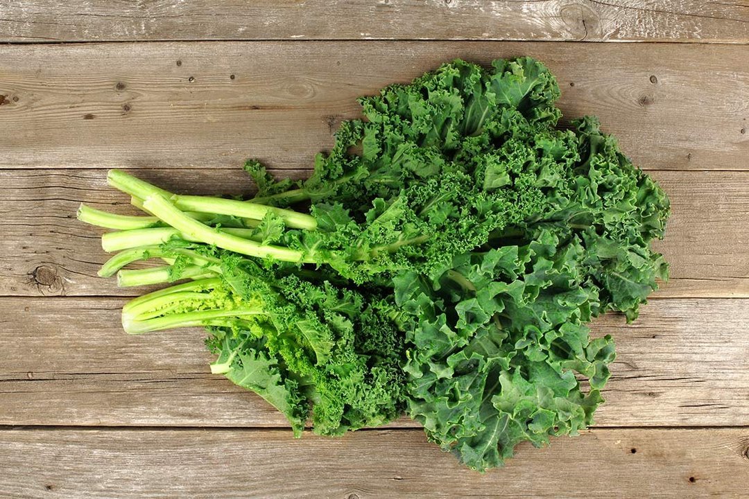 羽衣甘蓝纯露 Kale Hydrosol - 其他 - 浓缩/萃取物 