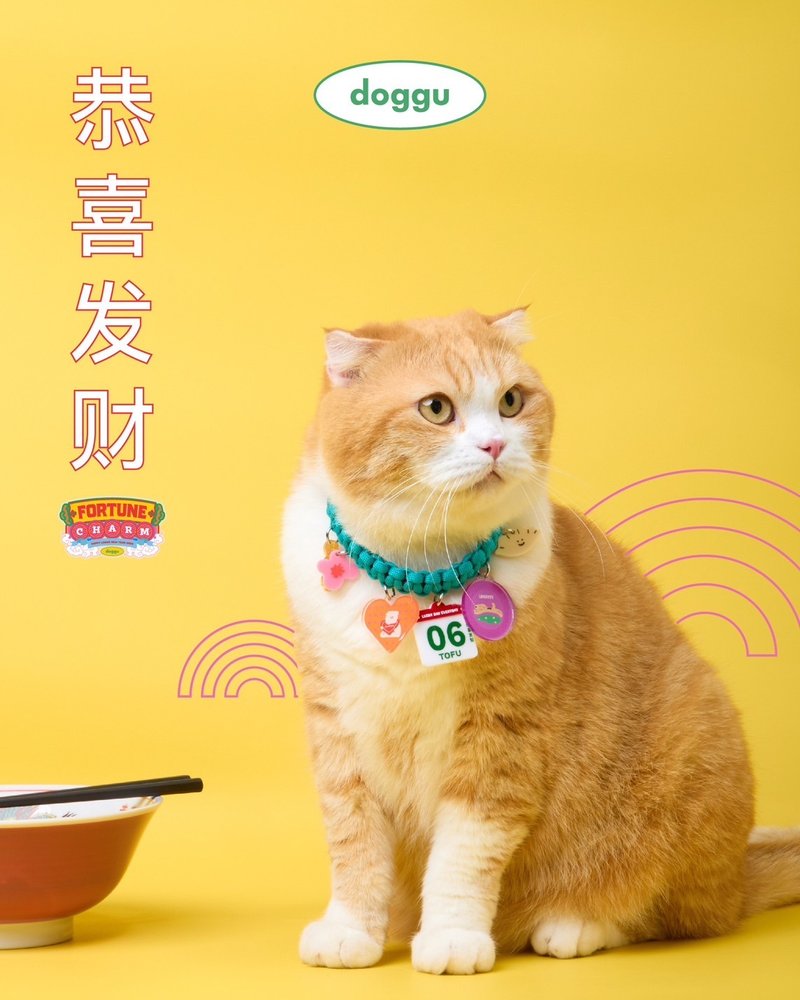 DOGGU PETS现成过年项链，舞龙长寿，身体健康，长寿。 - 项圈/牵绳 - 聚酯纤维 多色