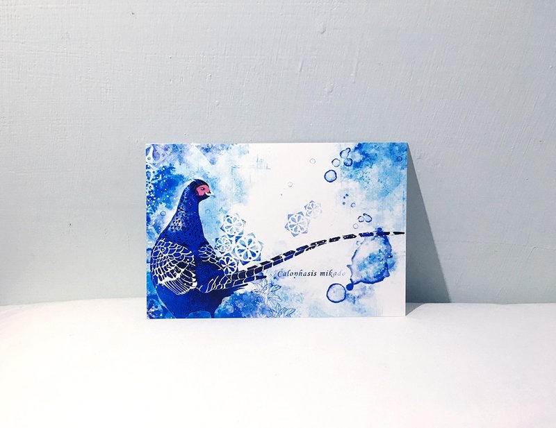 台湾之鸟 台湾帝雉 /双面明信片postcard - 卡片/明信片 - 纸 