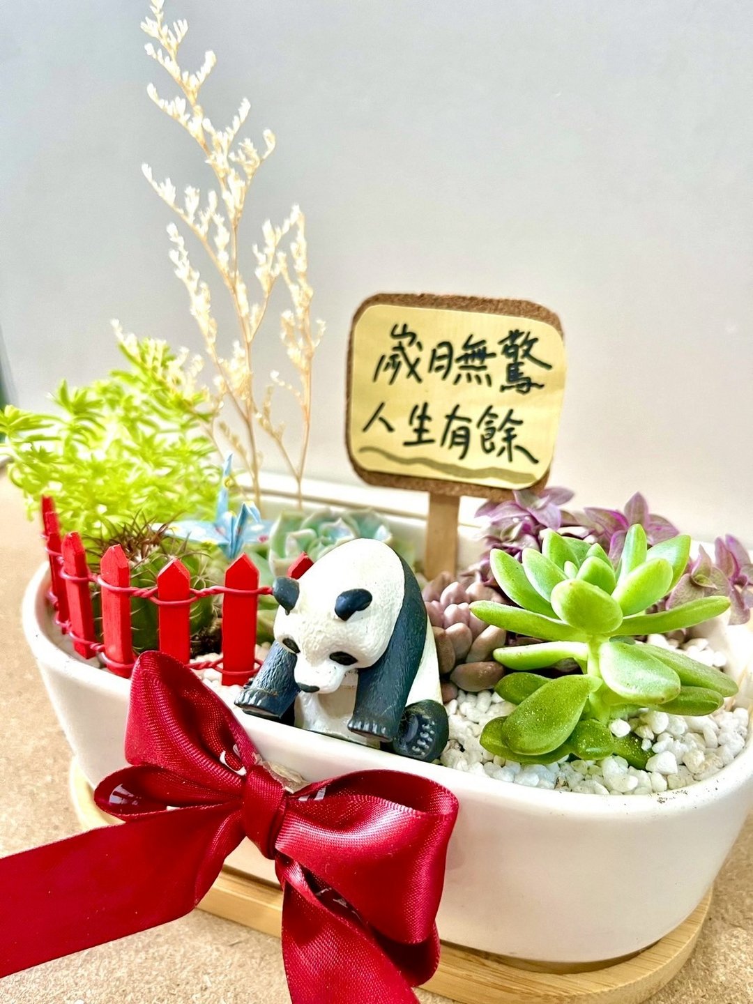 多肉组盆 多肉植物 日式熊猫 猫熊 满月送礼 成长的意象 祝福礼 - 植栽/盆栽 - 植物．花 绿色