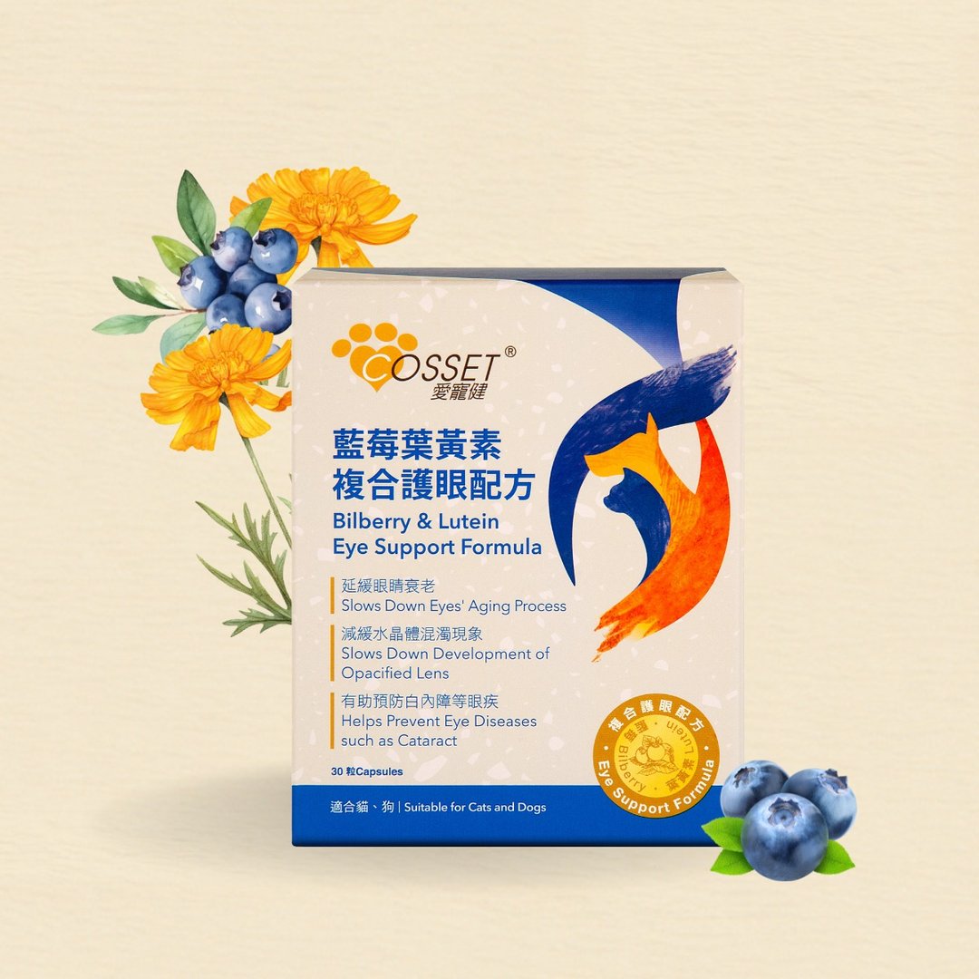 爱宠健蓝莓叶黄素复合护眼配方 - 其他 - 其他材质 