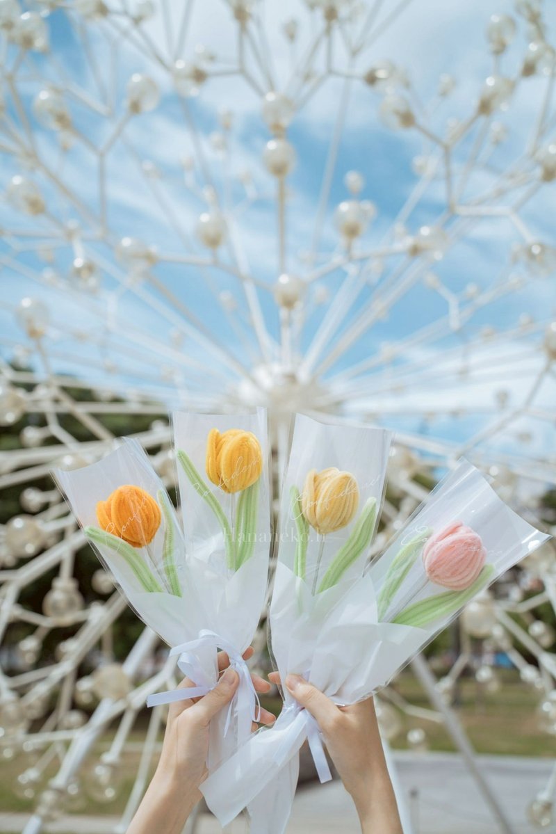 【可定制】毛根花 花束 花艺 郁金香 - 干燥花/捧花 - 植物．花 
