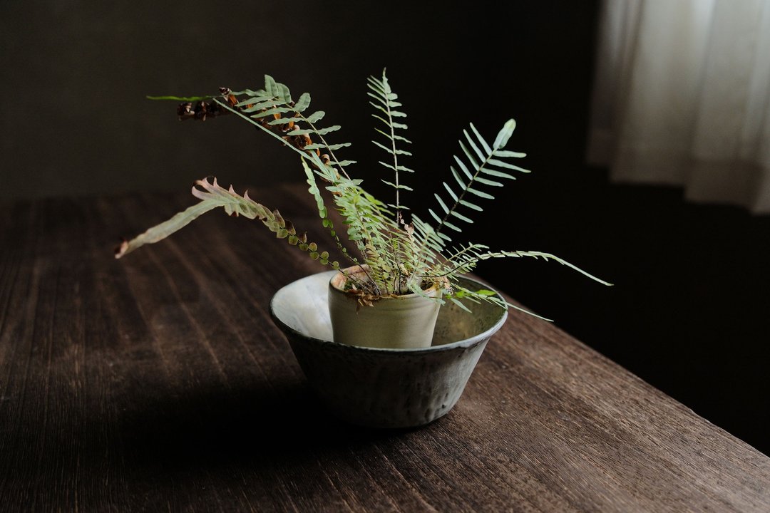 冬季的羊卓雍措・敞口花盆 - 植栽/盆栽 - 陶 绿色