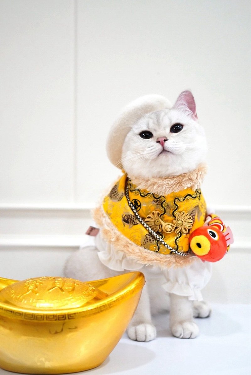 Ipet龙年新年围巾 - 衣/帽 - 其他人造纤维 黄色