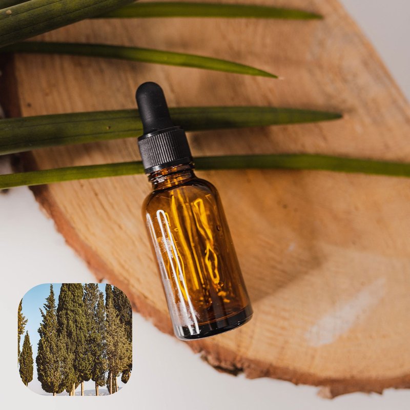 【香间小路】天然精油 丝柏精油 Cypress ( 赠送甜橙精油10ml ) - 香薰/精油/线香 - 玻璃 透明