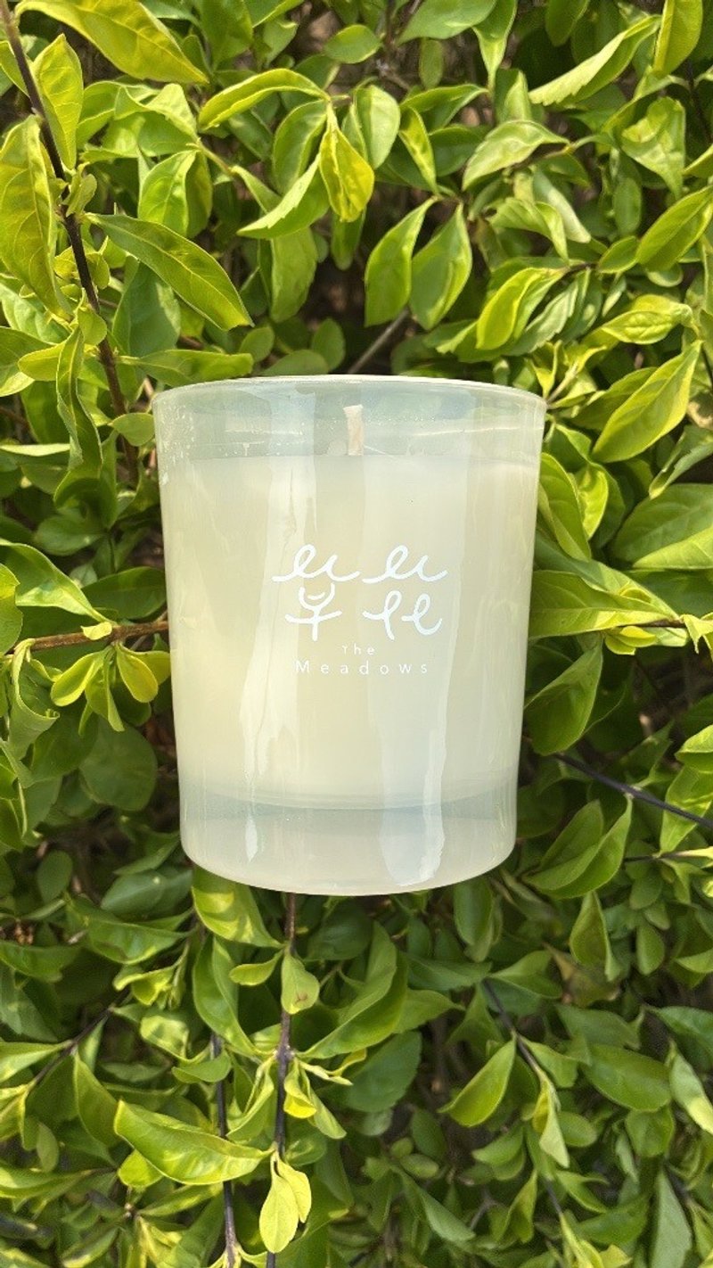 草本香调 | 大豆香氛蜡烛 • 草花 The Meadows - 蜡烛/烛台 - 玻璃 透明