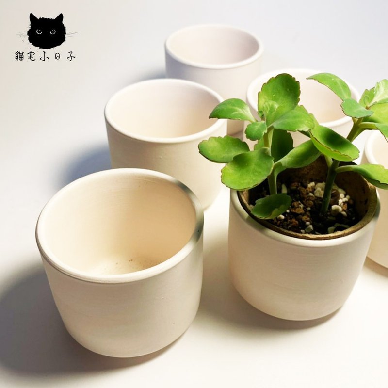 猫宅小日子 室内装饰 高透气 多肉仙人掌 素白陶花盆 - 植栽/盆栽 - 陶 