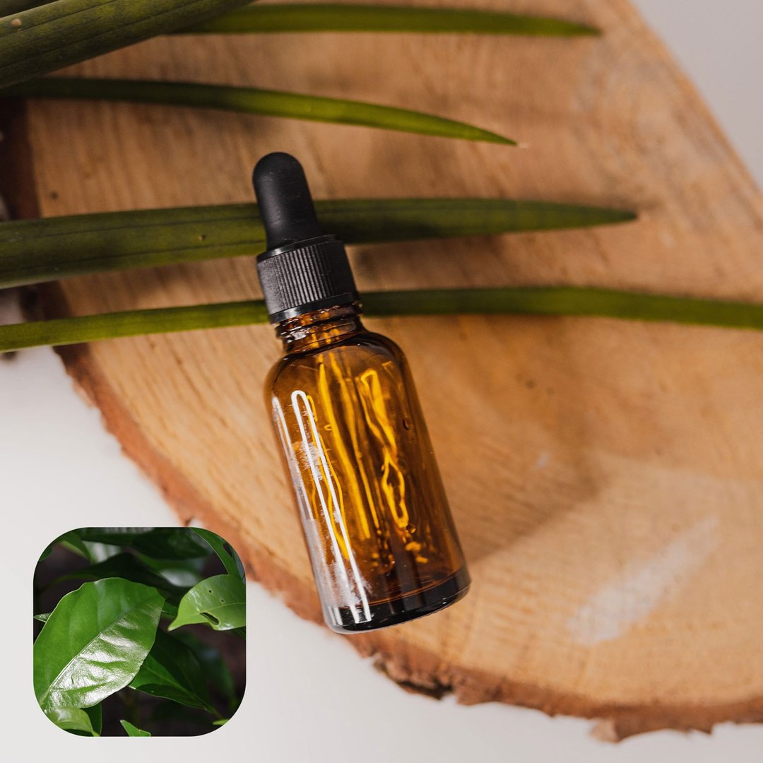 【香间小路】天然精油 芳樟叶精油 Ho Leaf ( 赠送甜橙精油10ml ) - 香薰/精油/线香 - 玻璃 透明