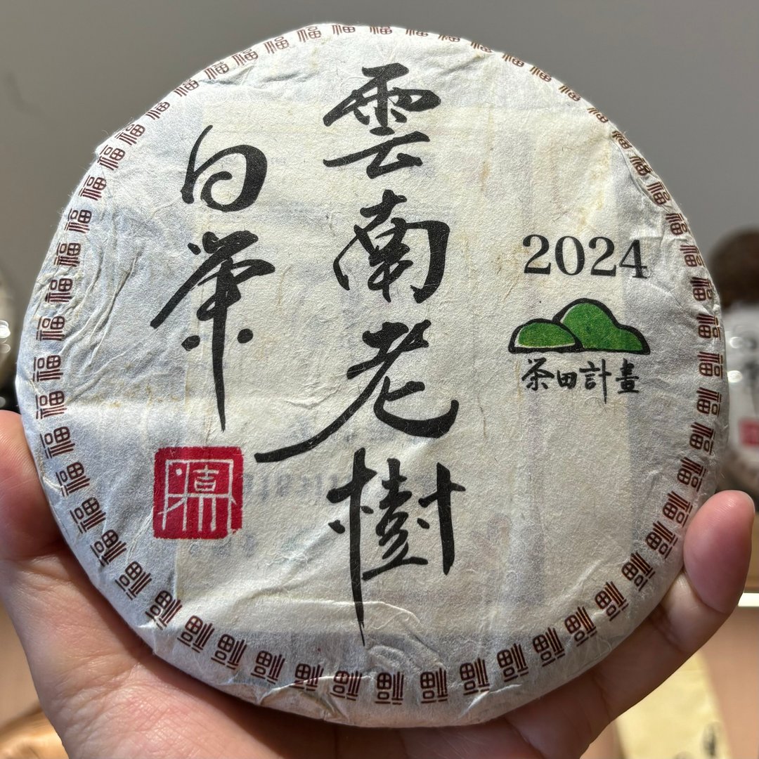 茶田计划- 2024年 凤庆白茶饼 贡眉白茶 - 茶 - 其他材质 