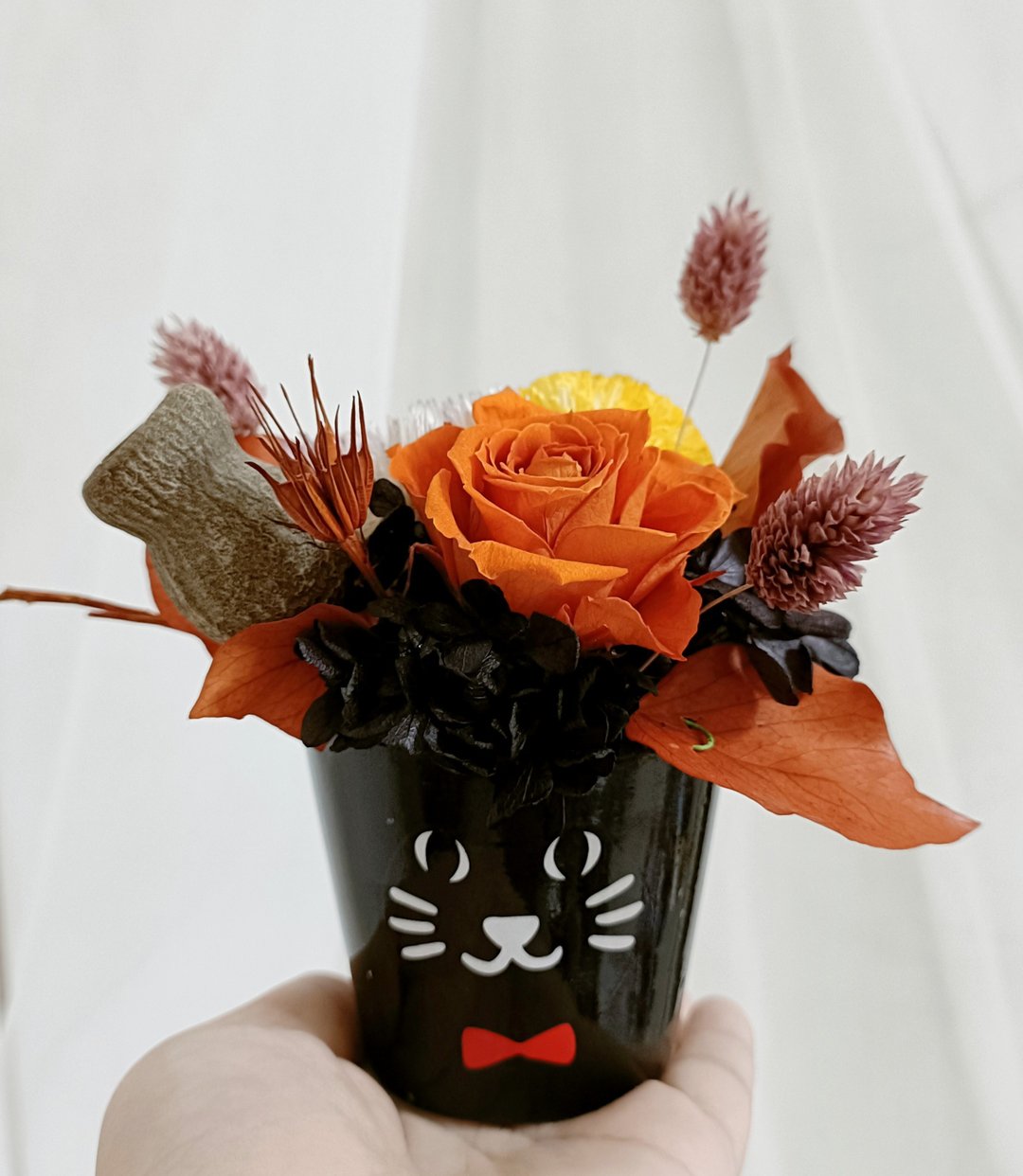 万圣节猫咪永生玫瑰盆花 求婚告白情人节生日男/女生礼物教猫之日 - 干燥花/捧花 - 植物．花 橘色