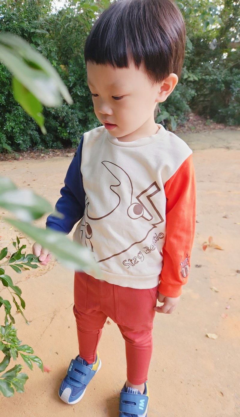 台湾原创品牌Rakki more锹形虫 甲虫长袖上衣 拼袖长袖上衣 - 童装上衣 - 棉．麻 