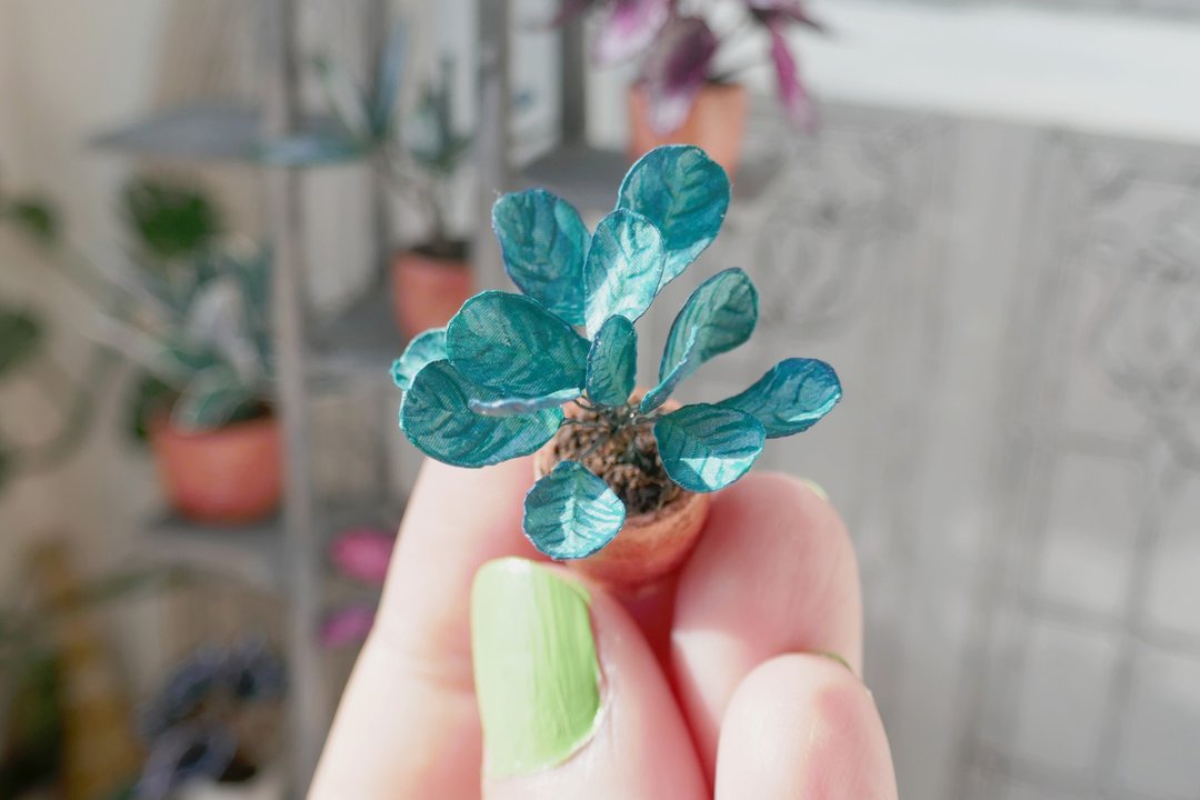 1:12 miniature plants | Ctenanthe Amagris - 其他 - 纸 蓝色