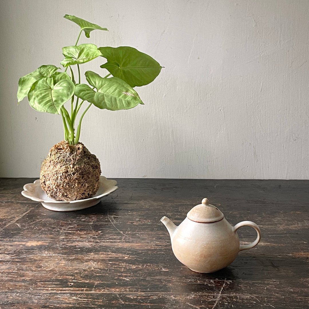 古朴陶壶 - 茶具/茶杯 - 陶 黑色