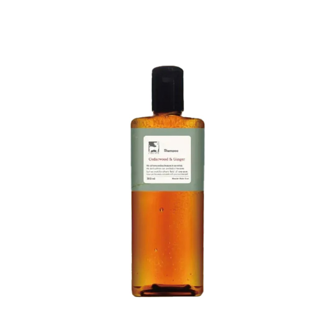 【GIN-GER】翠波雪松姜芬洗发精 360ml - 洗发用品 - 浓缩/萃取物 