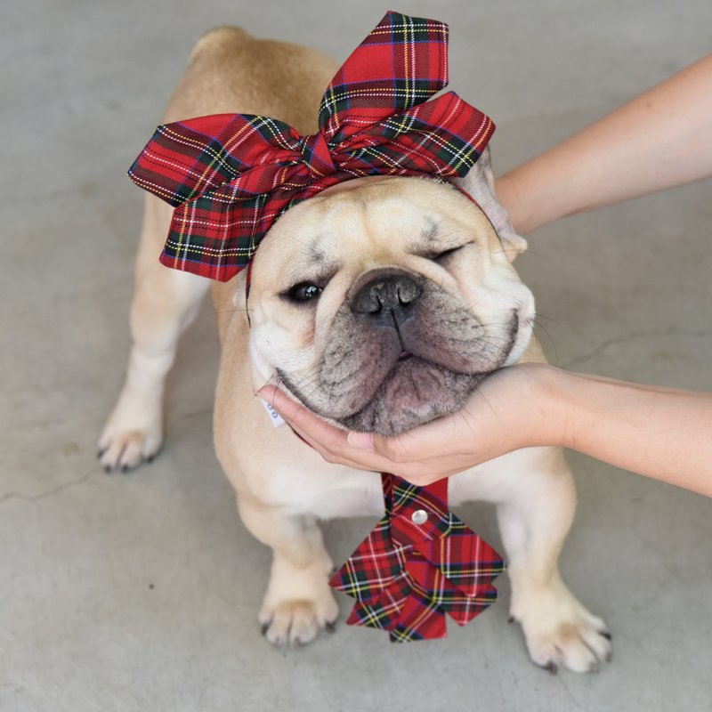 宠物造型发箍 - 其他 - 聚酯纤维 