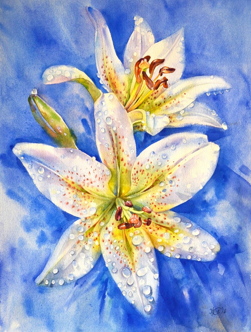 Lily original watercolor painting by artist Irina Zhunaeva - 墙贴/壁贴 - 纸 多色