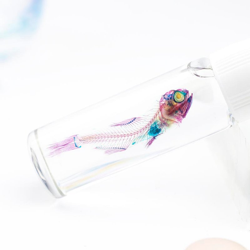 透明标本 灯笼鱼 鱼类标本 台湾海洋生物 - 摆饰 - 玻璃 多色