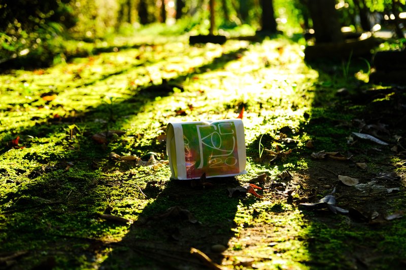 埃塞俄比亚 古吉 布雷依 /日晒 浅焙/ 隣人珈琲-精品咖啡豆专卖 - 咖啡 - 新鲜食材 