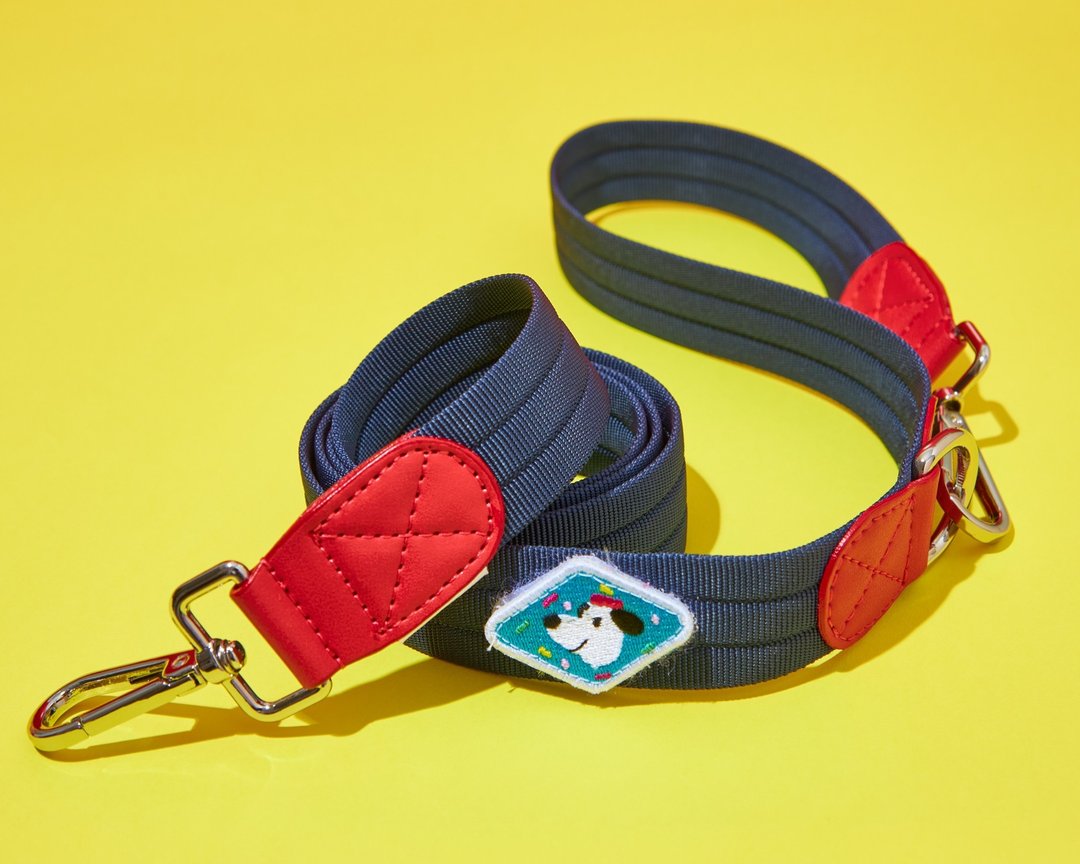 FROYO LEASH - dog leash - 项圈/牵绳 - 尼龙 多色
