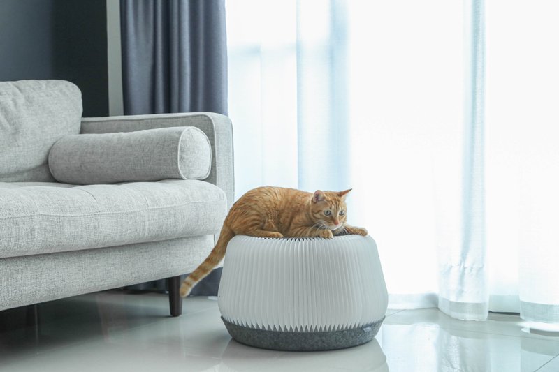 POUF 小宅凳 - 抓板/跳台 - 纸 