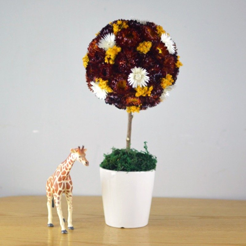 花丘｜夏日艳红干燥花树  花礼 盆栽 花球 自然 摆饰 绣球 红色 - 植栽/盆栽 - 植物．花 红色