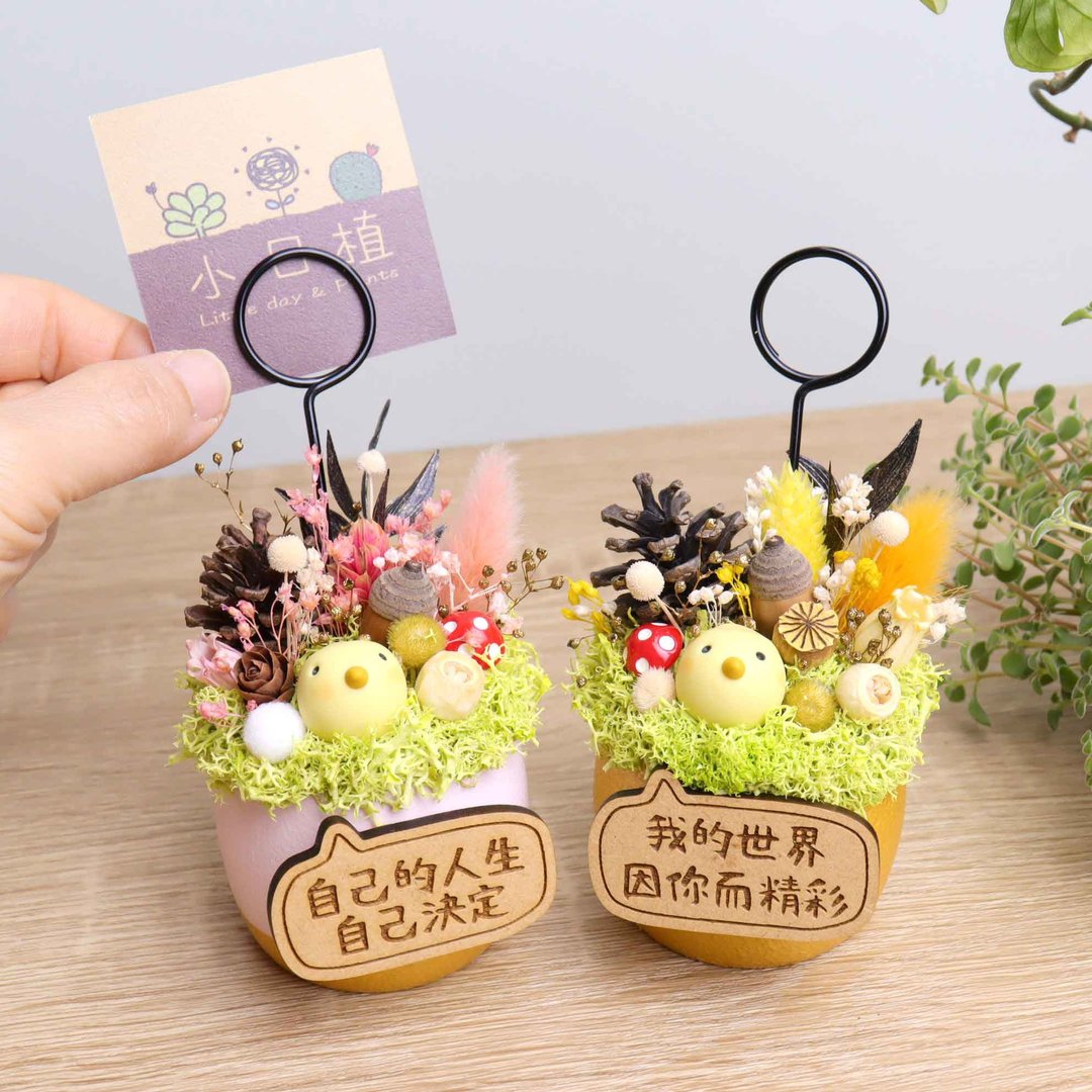 订制 - 小日鸟蛋干燥花名片夹盆栽 开幕情人节教师节送男友女友礼物 - 干燥花/捧花 - 木头 灰色