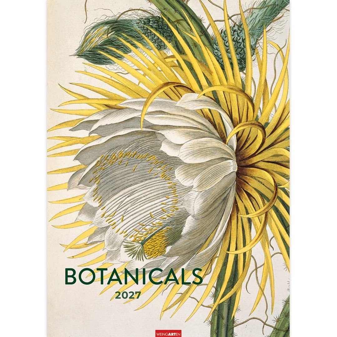 草本植物美学 2027 月历×海报 - 年历/台历 - 纸 
