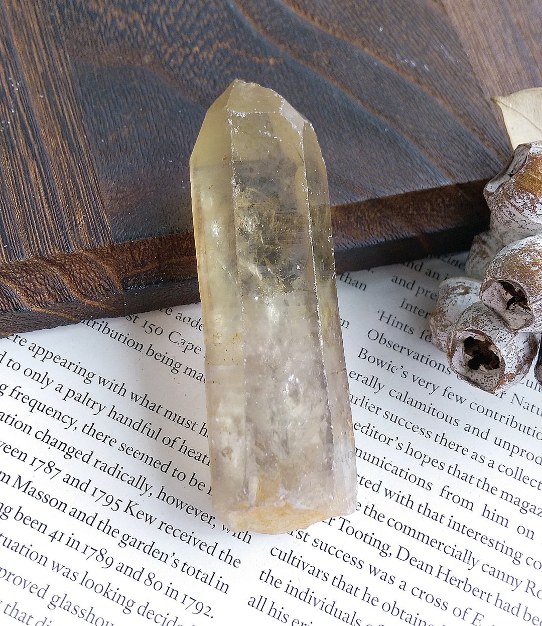 Citrine 赞比亚产地 黄水晶 单晶柱 天然矿石 原矿 - 摆饰 - 其他材质 