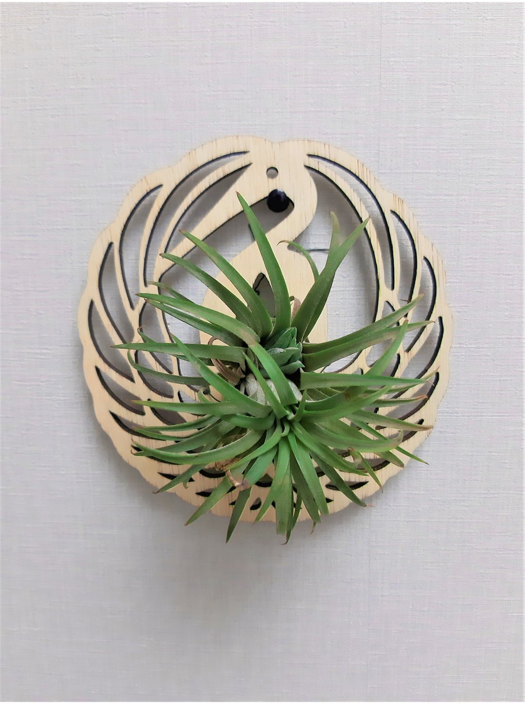 【日系家居】天然木植栽板(轻巧型) - 鹤丸锷 - 植栽/盆栽 - 木头 咖啡色