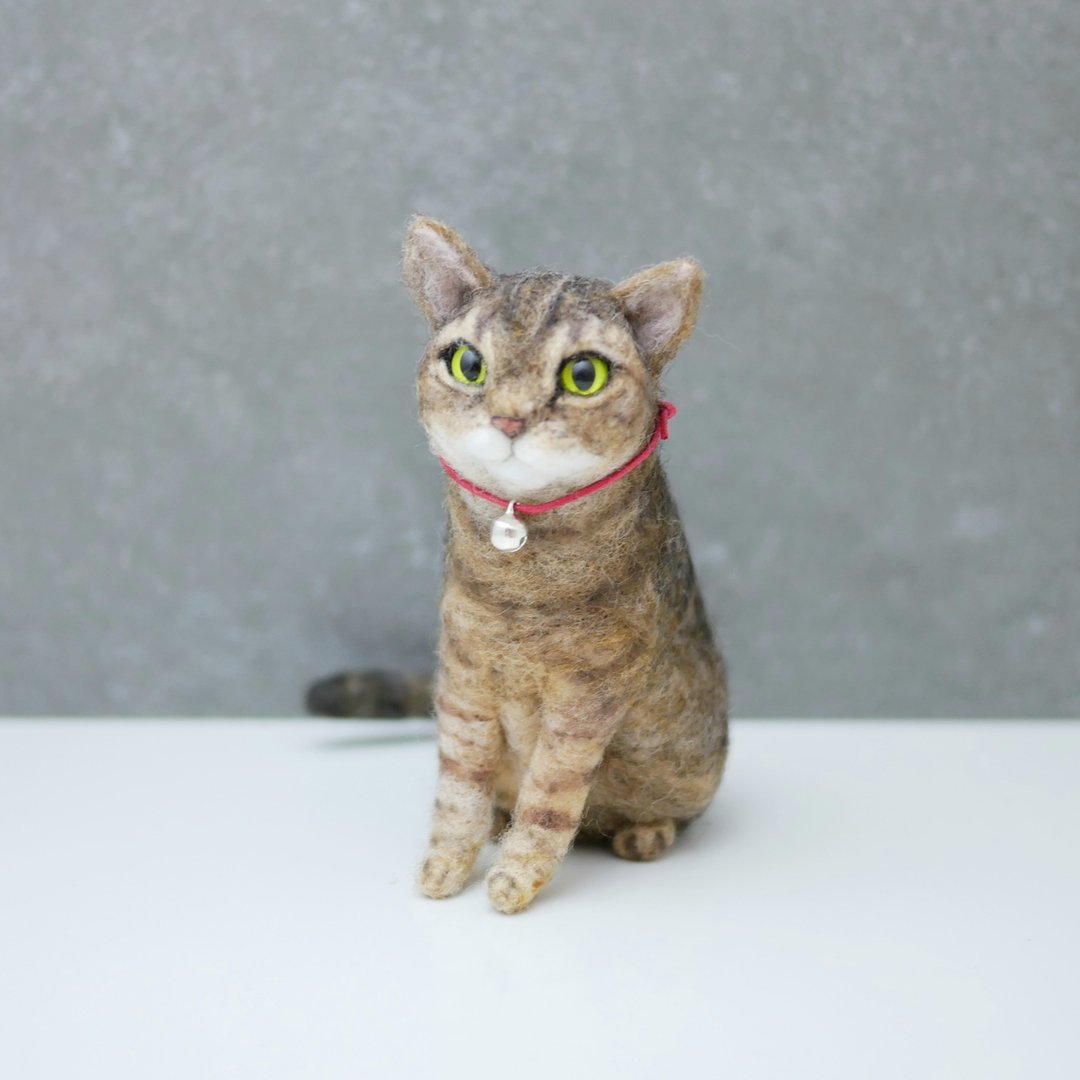 定制宠物羊毛毡 美国短毛猫 乖乖坐系列 定制化 情人节 - 玩偶/公仔 - 羊毛 咖啡色