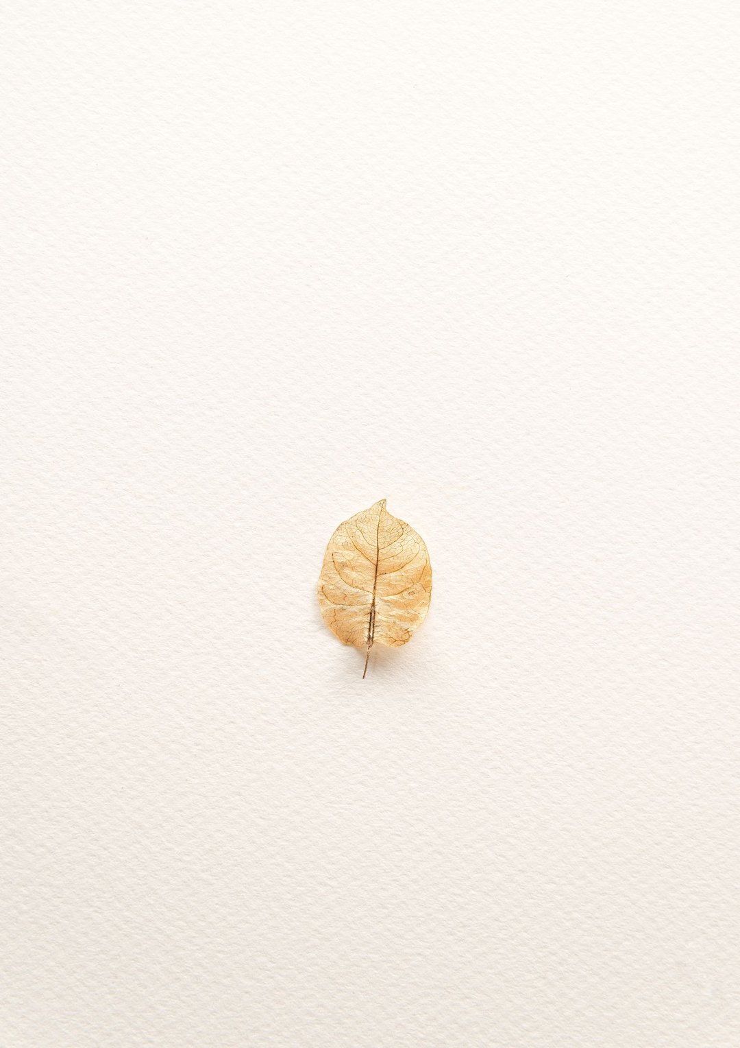 你没有做错 只是配方没告诉你的事 在线课程 - 线上课程/教学影片 - 其他材质 