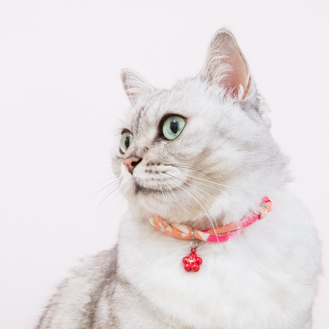 安全项圈 猫狗项圈 日本犬猫和布项圈(可调式)杏桃樱+红梅铃 - 项圈/牵绳 - 丝．绢 粉红色