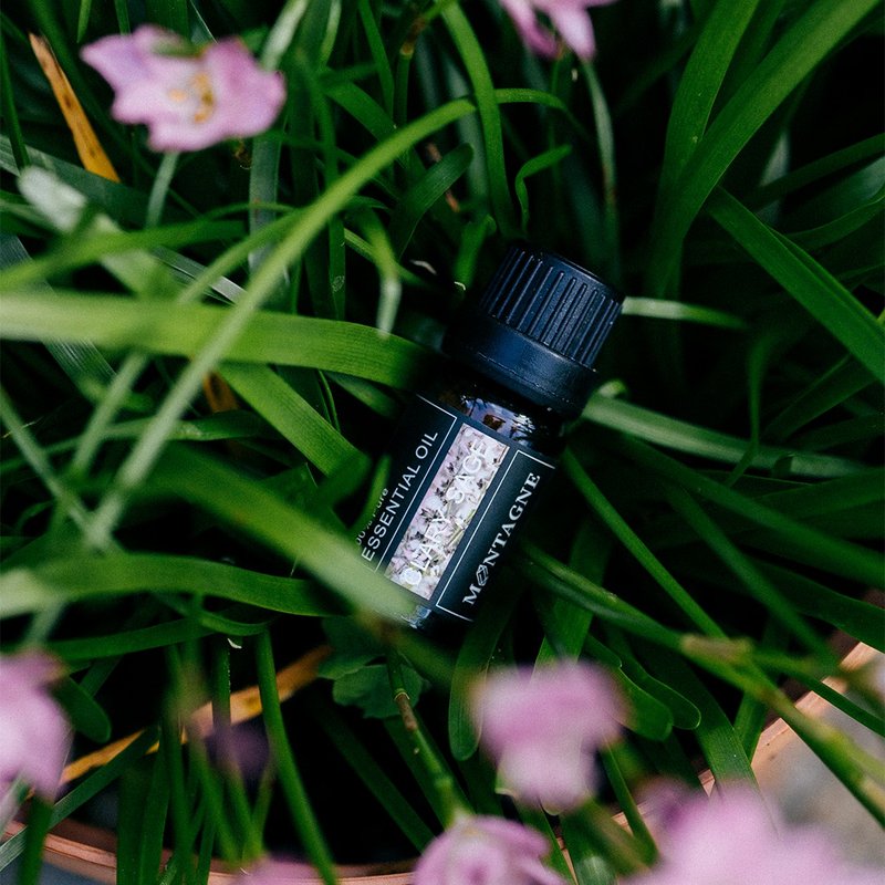 【Montagne】CLARY SAGE | 鼠尾草精油 香氛 入厝礼 新居落成 - 香薰/精油/线香 - 精油 多色