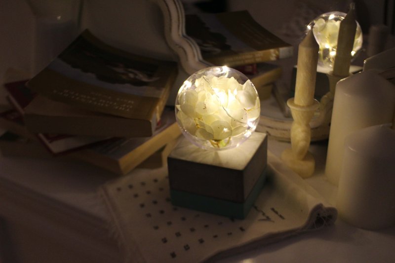Via K Studio 仿真花LED 玻璃球夜灯 情人节礼物 乔迁礼 生日礼 - 灯具/灯饰 - 其他材质 白色
