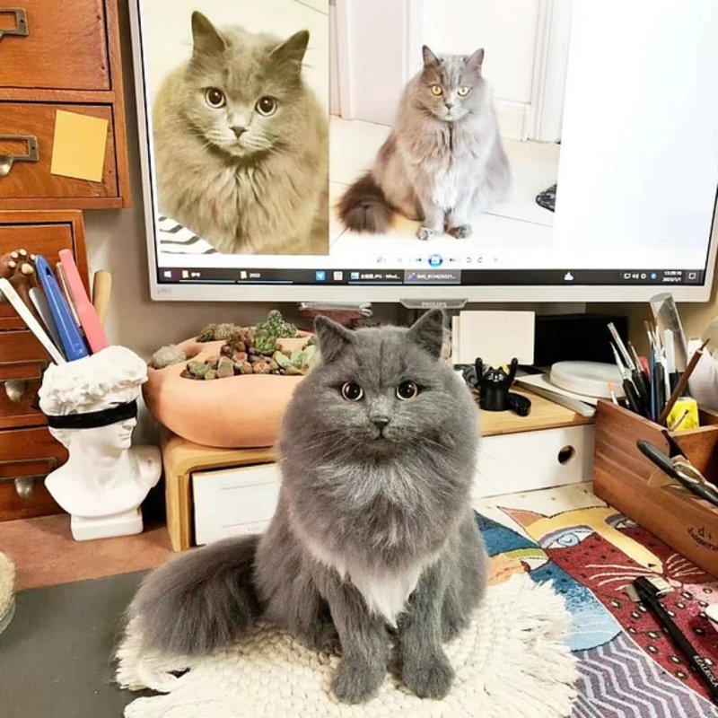 定制化礼物 逼真猫猫 羊毛毡 毛孩 宠物 娃娃 猫咪猫奴 似颜绘 /7 - 玩具 - 羊毛 多色