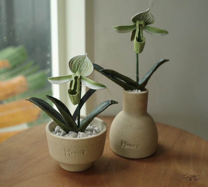 绝版品 Paphiopedilum Doya Green Prince 绿王子仙履兰 - 植栽/盆栽 - 真皮 