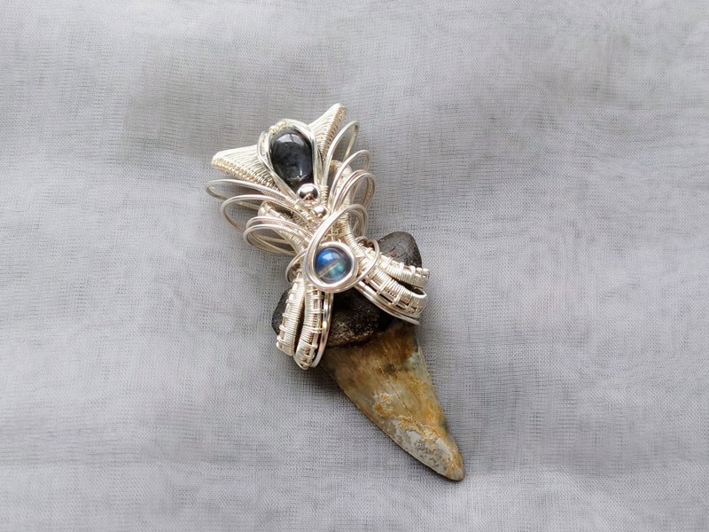 【万古千秋】吊坠/斜耳齿鲨牙齿化石/魔鬼海蓝宝/拉长石 - 项链 - 其他材质 